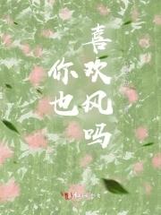 侠盗风流歌曲